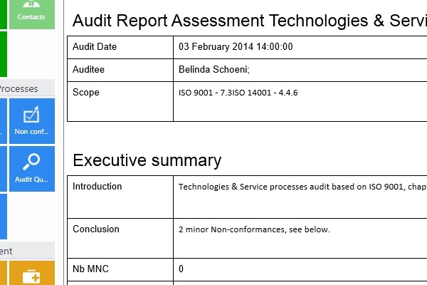 audit report