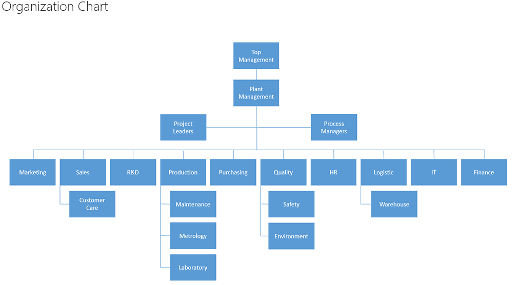Organization Organizational Chart With Responsibilities Template