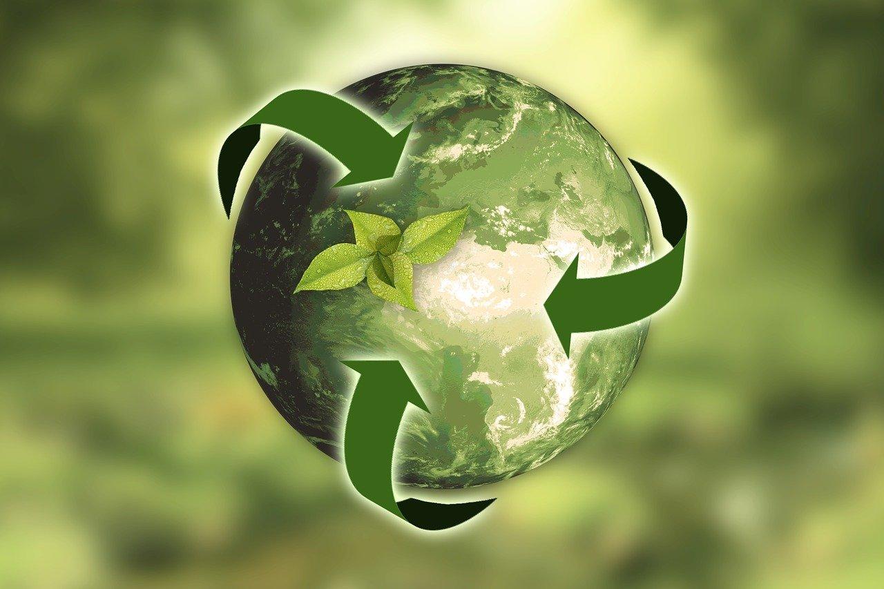 Sustainability Management Software